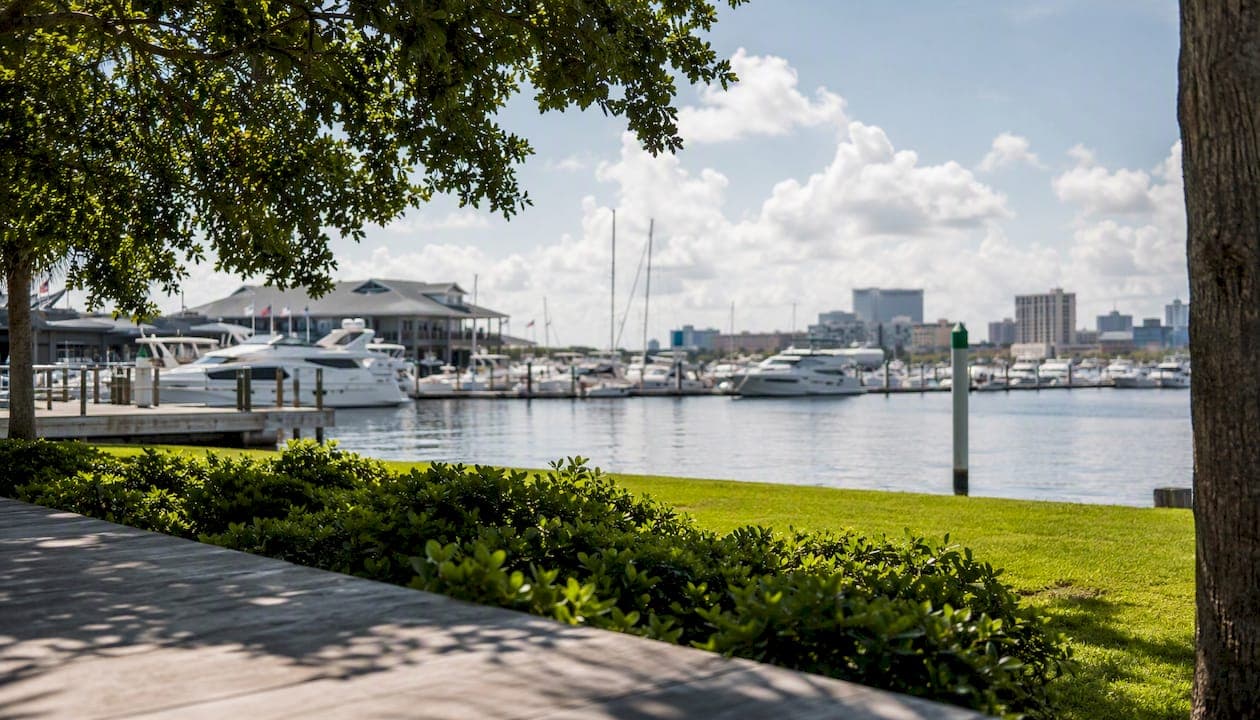 Charleston City Marina: Your Complete Visitor Guide
